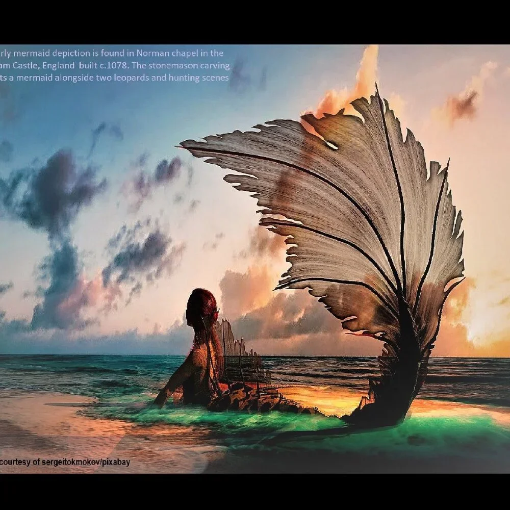 Mermaid Calendar 2027 Mermaid Pictures Mermaid Decor Mermaid Art